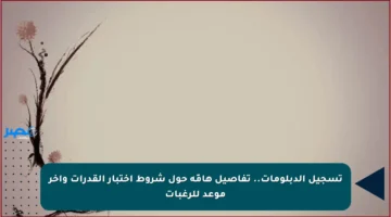 تسجيل الدبلومات.. تفاصيل هامّة حول شروط اختبار القدرات وآخر موعد للرغبات